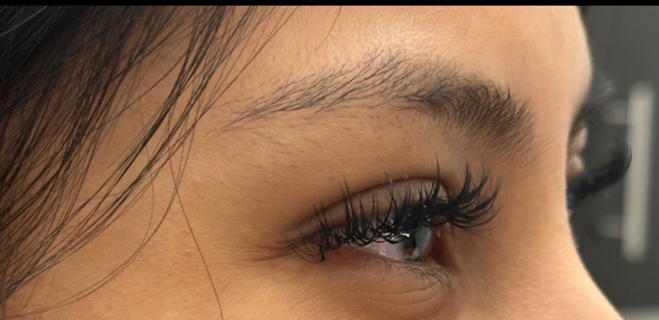 Side profile showing the curl and dimension of a finished lash set